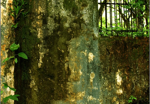 L'île St Joseph #45 (15965 visites) L'île St Joseph #45