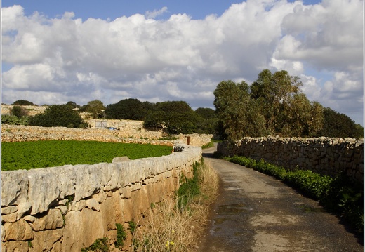 Qrendi #11 (10962 visites) Qrendi #11