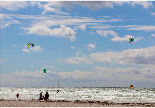 Pointe Skanor-Falsterbo #05 (3822 visites) Pointe Skanor-Falsterbo #05