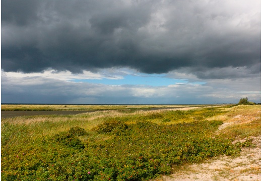 Pointe Skanor-Falsterbo #08