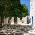 Arbre, Grèce #02 (8238 visites, score 6.66) Arbre, Grèce #02