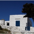 Arbre, Grèce #07 (8486 visites) Arbre, Grèce #07