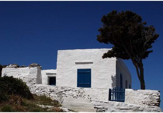 Arbre, Grèce #07 (8248 visites) Arbre, Grèce #07