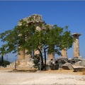 Arbre, Grèce #11 (6900 visites) Arbre, Grèce #11